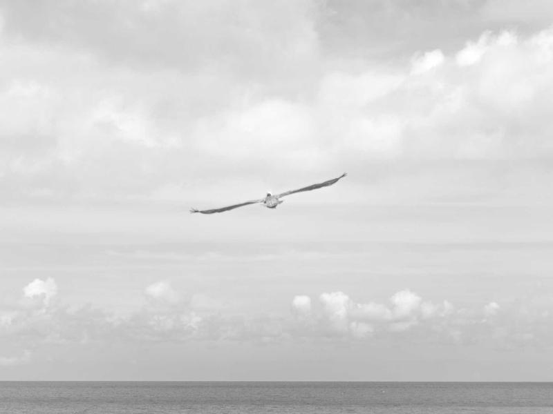 此时无声<br>ly8tfut.cn 留白艺术鉴赏
